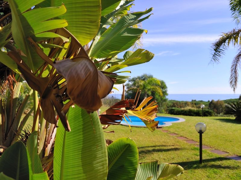 Gepflegter Garten mit Blick auf das Meer Gepflegter Garten mit Blick auf das Meer