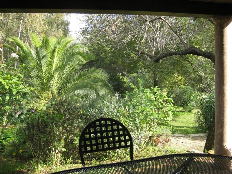 Blick in den Garten Blick in den Garten