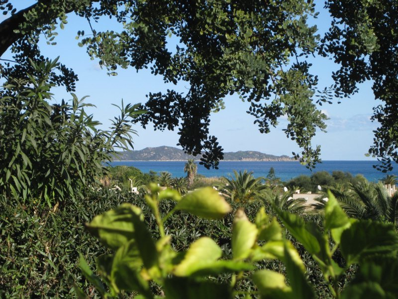 Meerblick vom Garten Meerblick vom Garten