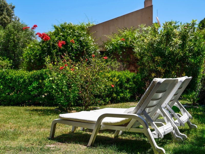Schön eingewachsener Garten mit Rasenfläche Schön eingewachsener Garten mit Rasenfläche