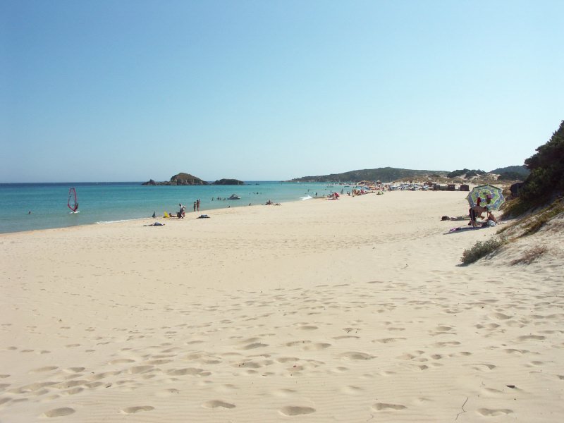 Strand in Chia Strand in Chia