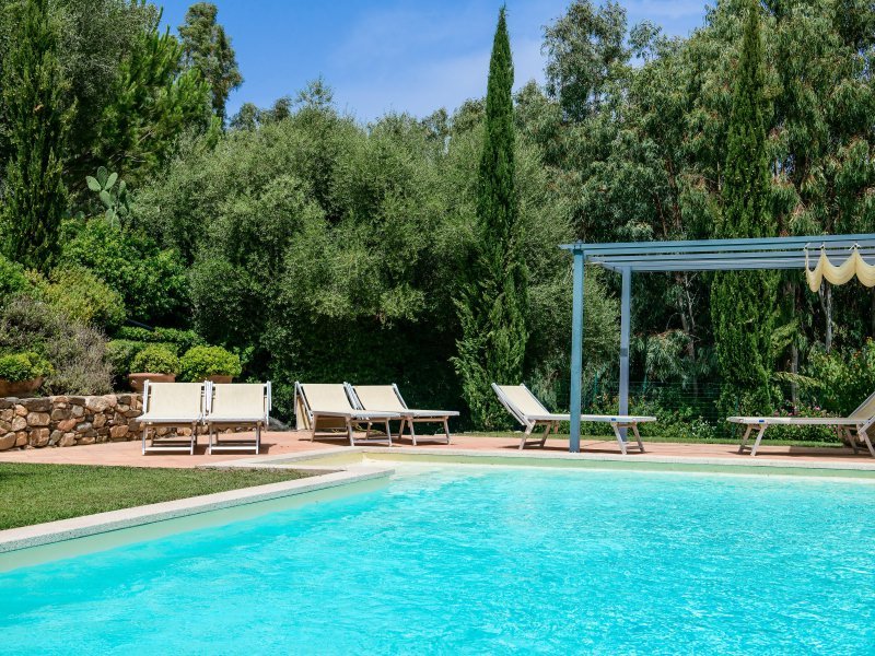 Gepflegter Poolbereich im Garten Gepflegter Poolbereich im Garten