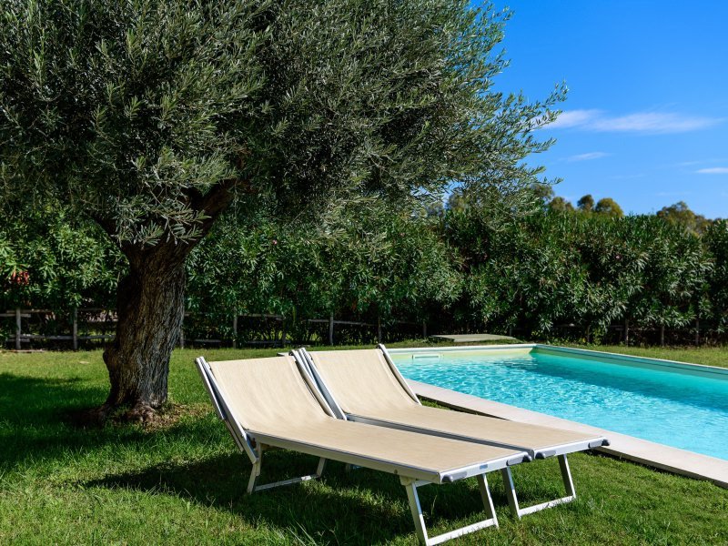 Sonnenbaden am Pool Sonnenbaden am Pool