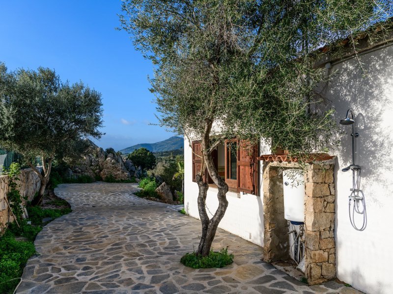 Außendusche unter einem wilden Olivenbaum an der Rückseite der Villa Oleandro Außendusche unter einem wilden Olivenbaum an der Rückseite der Villa Oleandro