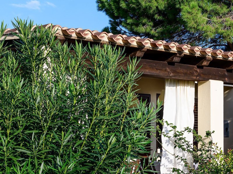DE: Villa umgeben von sardischer Natur im Süden Sardiniens
EN:
IT: DE: Villa umgeben von sardischer Natur im Süden Sardiniens
EN:
IT: