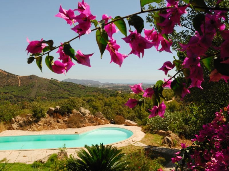 Bougainville und Blick über den Pool und die Landschaft Bougainville und Blick über den Pool und die Landschaft