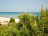 Beach Beach