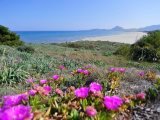 Spiaggia davanti alla casa