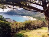 View to the ocean
