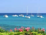 Sea Sea