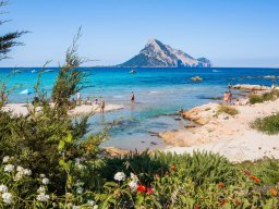 Blick auf den Lagunenzufluß ins Meer und die Insel Tavolara Blick auf den Lagunenzufluß ins Meer und die Insel Tavolara