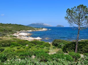 Küste vor den Ferienhäusern Pittulongu bei Olbia Küste vor den Ferienhäusern Pittulongu bei Olbia