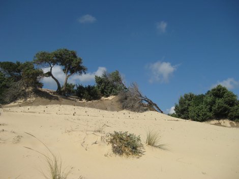 Dünen von Chia