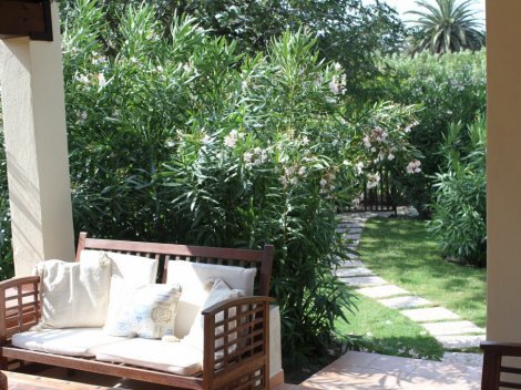 Blick in den Garten