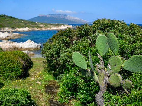 Blick über die Küste