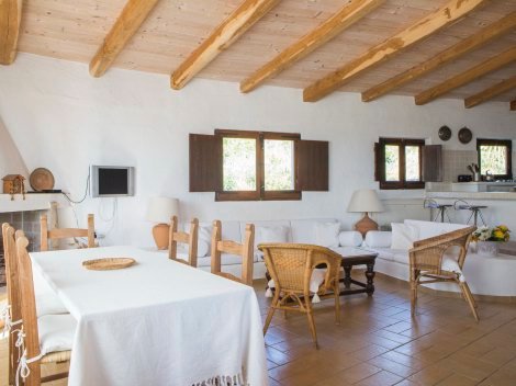 Die helle Holzdecke im Wohnraum und in der offenen Küche lassen eine ntürliche Ambiente entstehen