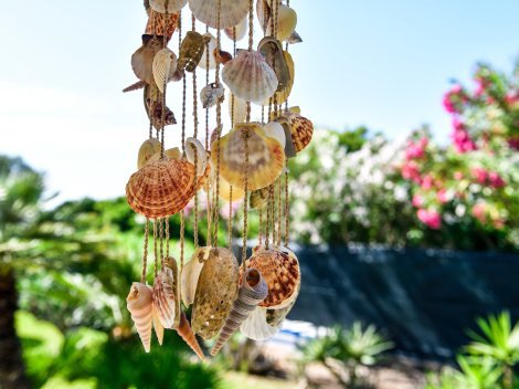 Muschelsammlung  aus einer nicht zu langen Zeit - als es noch Muscheln gab