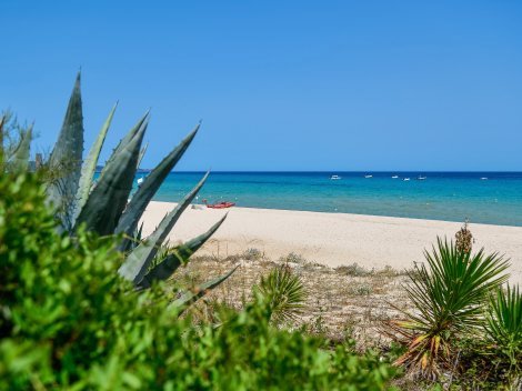 Strand direkt vor dem Haus