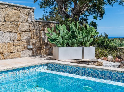 Der Pool ist windgeschützt und  uneinsehrbar