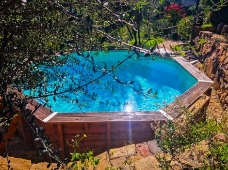 Pool mit Blick ins Grüne